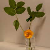 12oz Ripple Cup, Clear