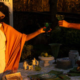 Sage Ribbed Coupe - Set of 4