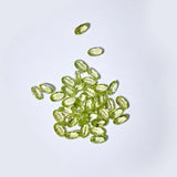 Loquet - August Birthstone Charm - Peridot