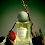 Regime des Fleurs - Cacti