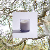 Liis - Reyes Candle