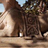 Moro Dabron: Briar Eau de Parfum