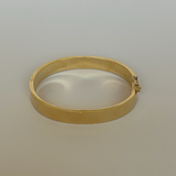 Established - Oval Inlay Lockdown Bangle
