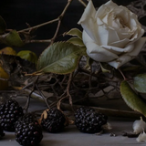 ADLAN - INTO THE BRIAR PATCH Candle