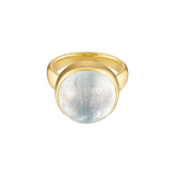 Vic Single Ring in Rainbow Moonstone - Thin Band