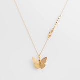 James Banks- Watercolor Buckeye Rose Gold