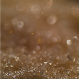 Regime des Fleurs - Fleur Éclair